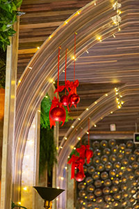 Номадс - Шинэ жилийн захиалга авч байна